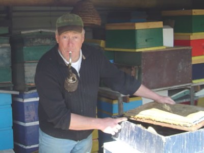 Henk van Berkel