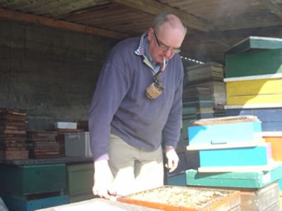 Henk Vernooij