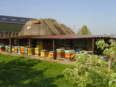 achterdijk