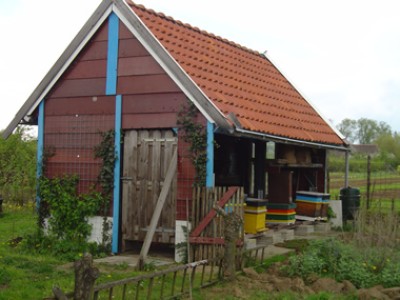 rijnseweg